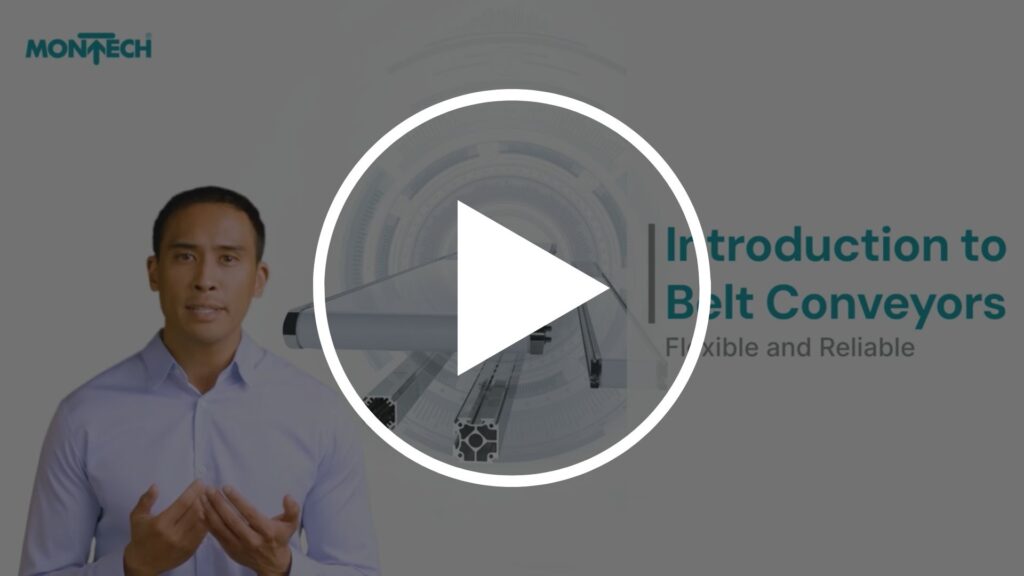 Belt conveyors - reliable and flexible